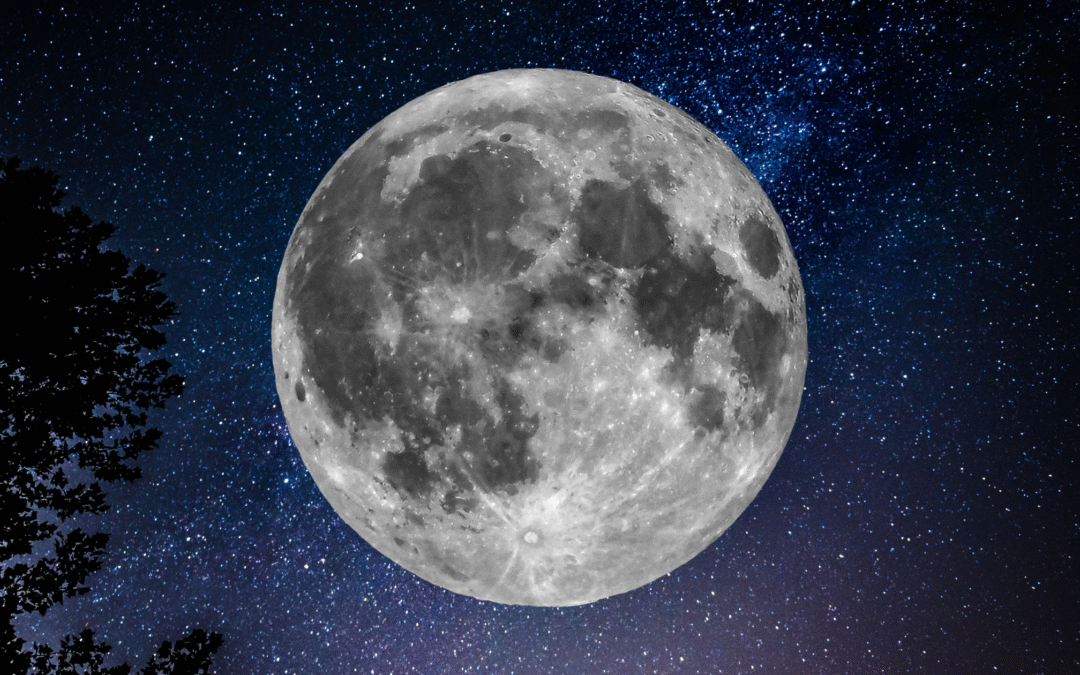 To the Moon